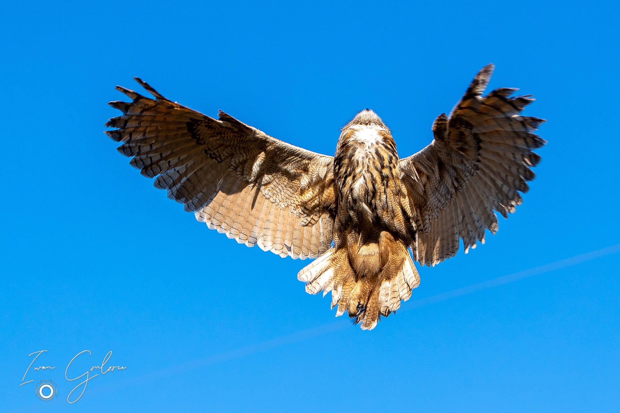 27 maart 2022 170800 1DX46652